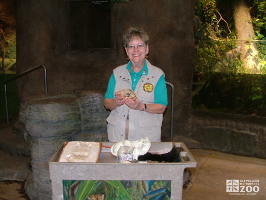 2006 - Volunteer with biofact