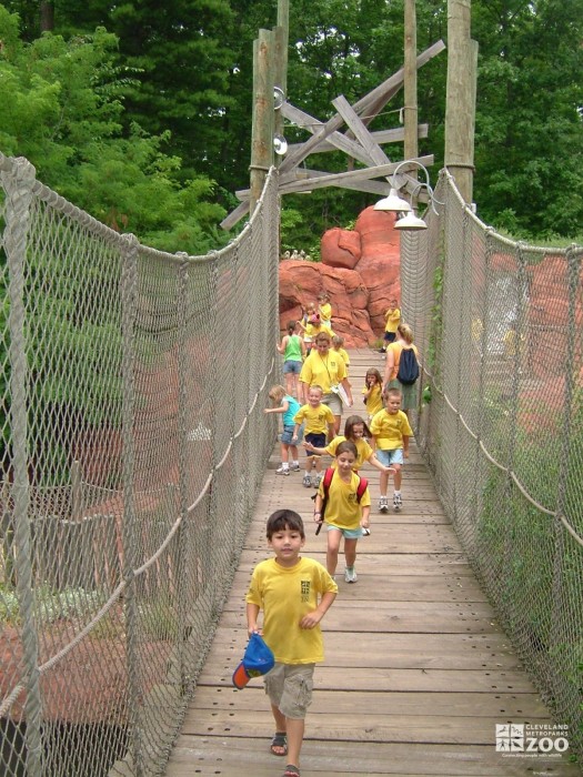 2005 Summer Day Camp Yagga Tree Bridge