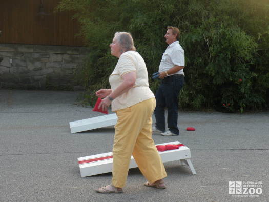 2010 Volunteer Picnic Cornhole