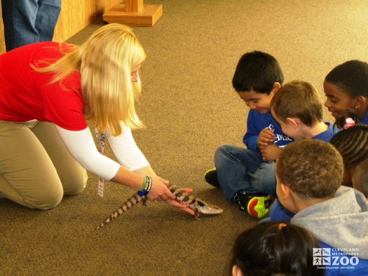 Preschool Safari with the Skink