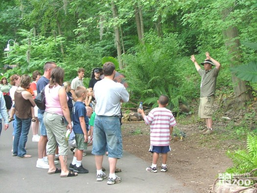 Danny Interpreting Dinosaurs