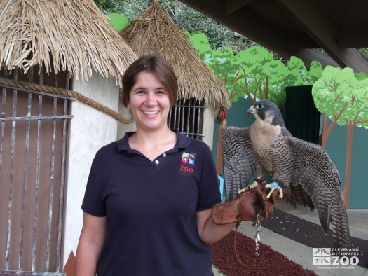 Professor Wylde's Staff with the Red-Tailed Hawk