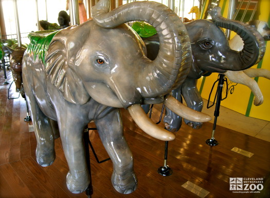 African Elephant - Carousel