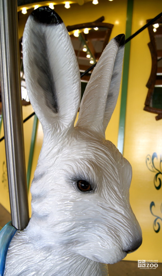 Arctic Hare - Carousel