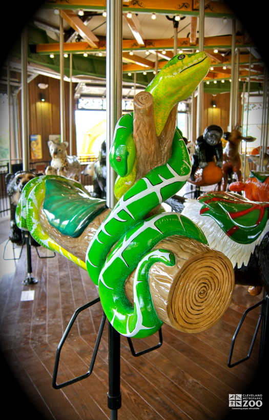 Emerald Tree Boa - Carousel