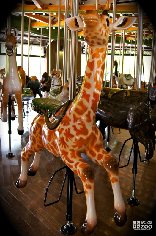 Masai Giraffe Calf - Carousel