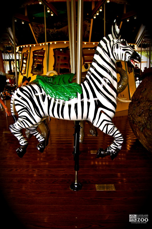 Plains Zebra - Carousel