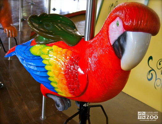 Scarlet Macaw - Carousel