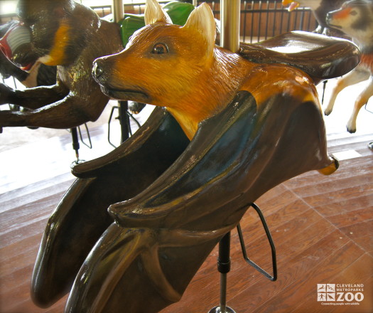 Straw-colored Fruit Bat - carousel