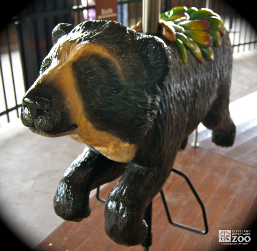 Andean Bear - Carousel