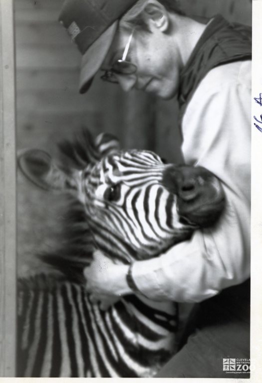 Zebra Black and White Baby and Keeper