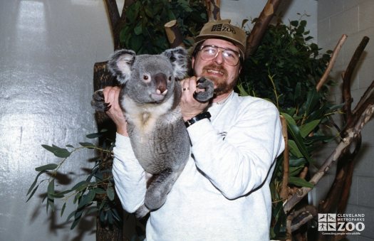 Steve Wright Holding a Koala