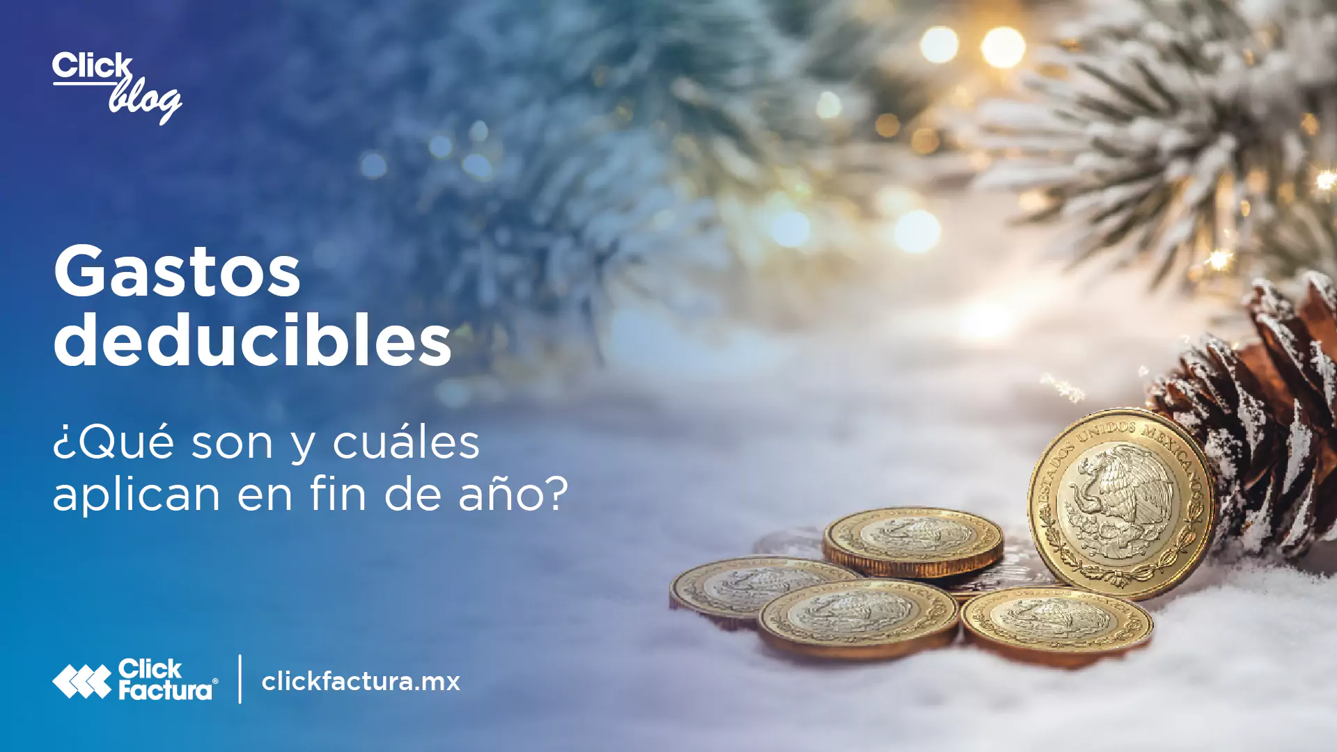 Gastos deducibles: ¿Qué son y cuáles aplican en fin de año?