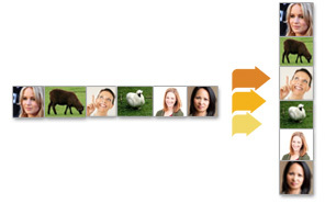 Multi sub-domains