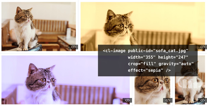 Image manipulation interactive demo