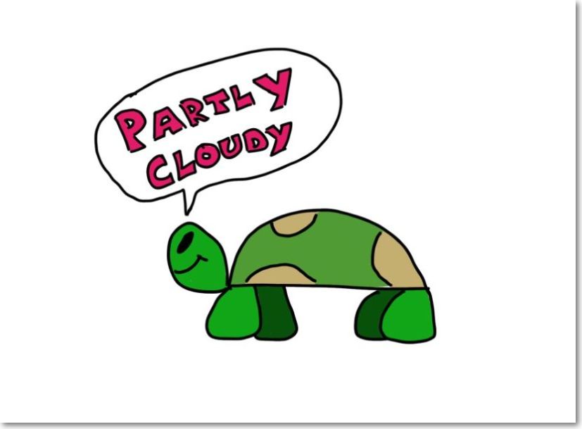 Drawing of a turtle for episode 3