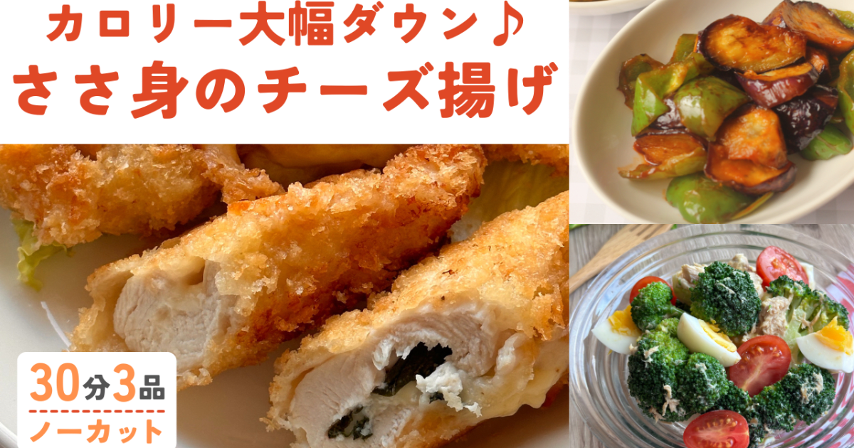 【レシピ/手順書付き】ヘルシーささ…