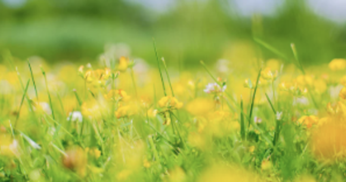 コーチング３ヶ月コース（プラン）~…