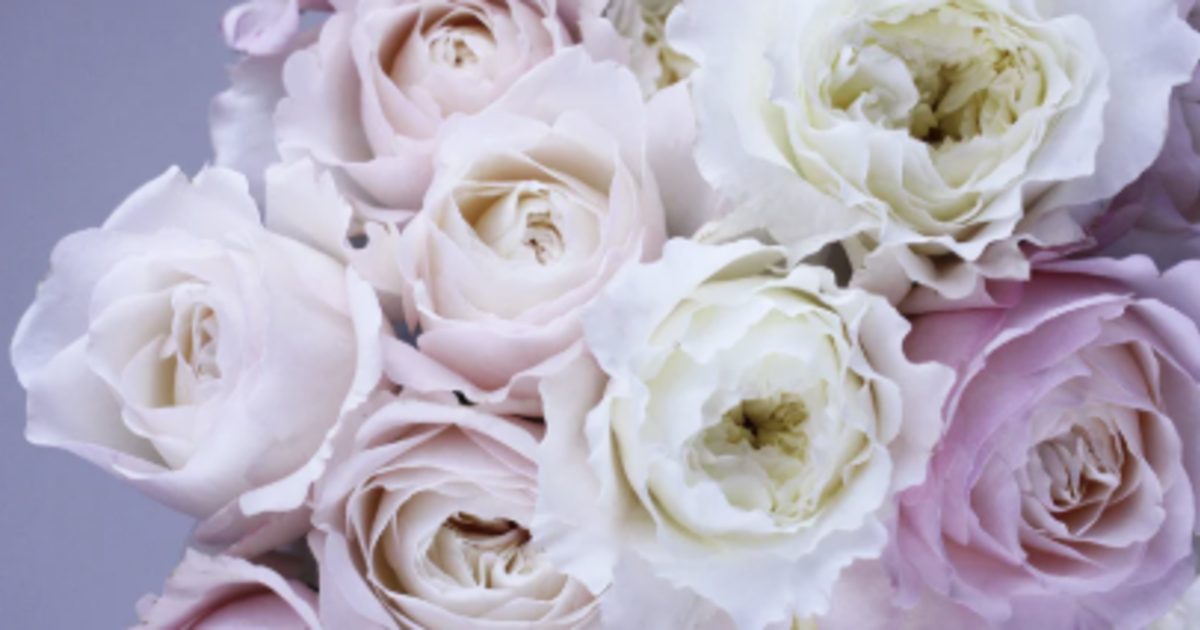 コーチング６ヶ月コース（プラン）~…