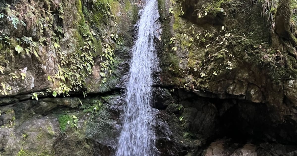 CMBトレーニング