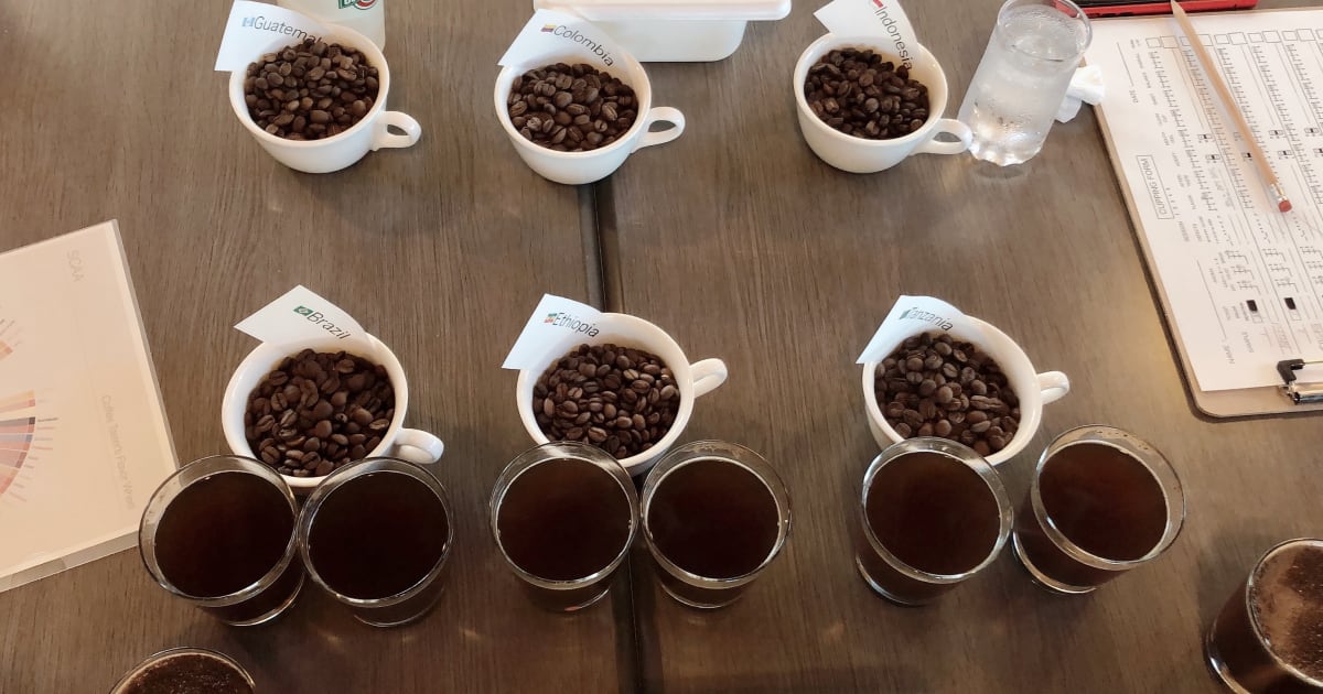 産地の違いによる味の違い