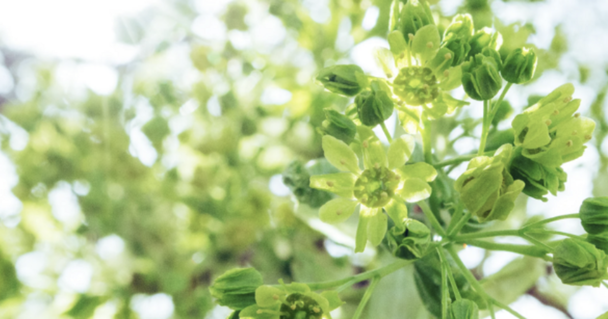 【限定３名】コーチングモニター募集…