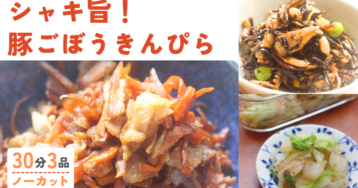 シャキ旨！豚ごぼうきんぴら /ひじき…