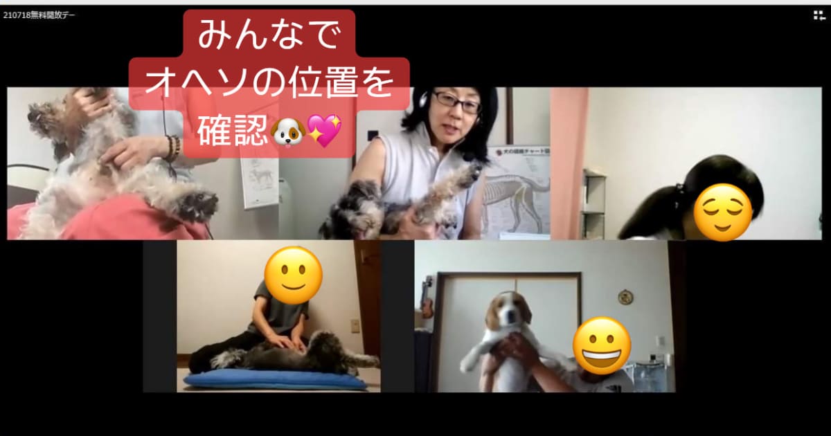 うちの子専属♡セラピスト育成講座（6ヶ月の総合講座：全12回）