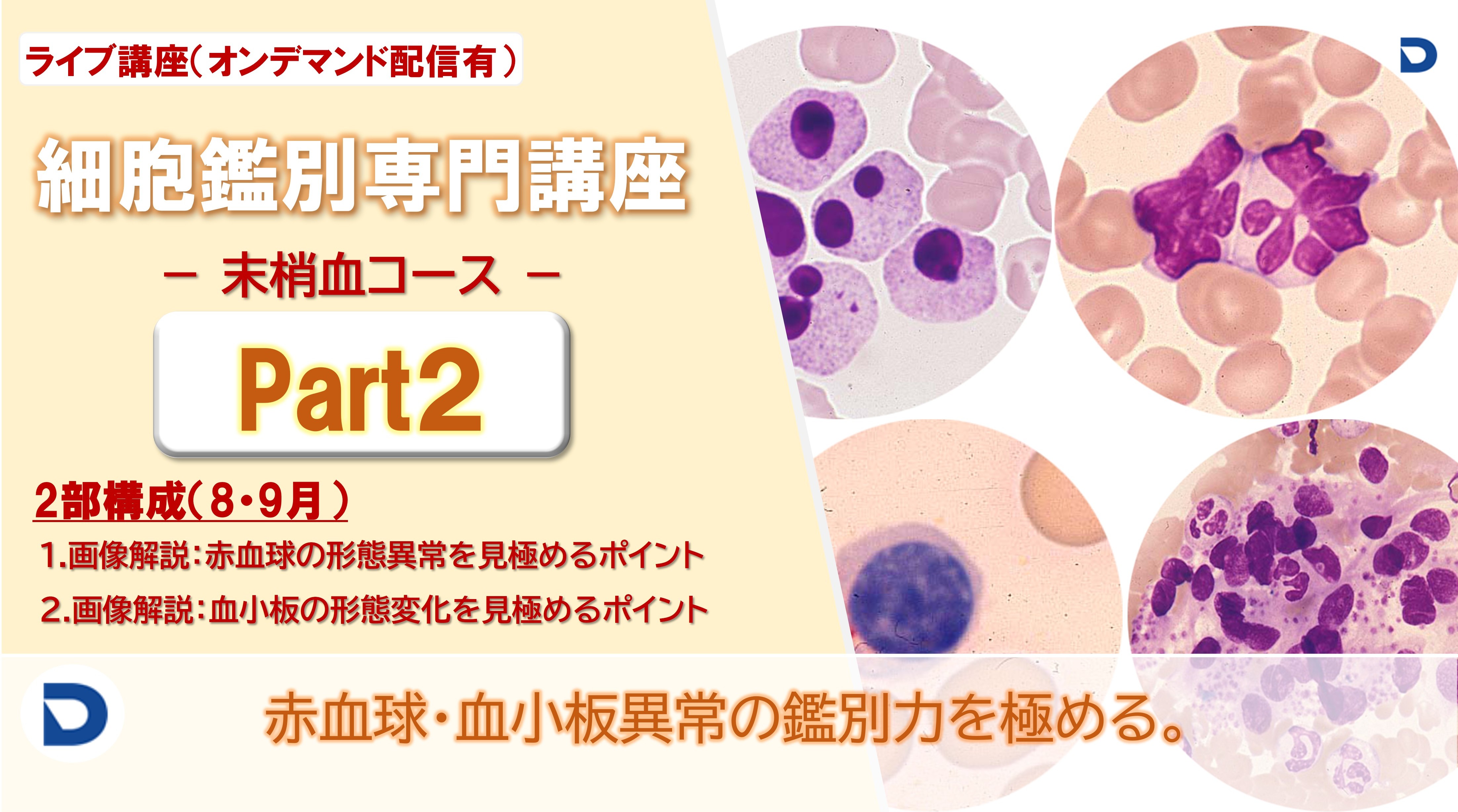 細胞鑑別専門講座：末梢血Part2（全2回）