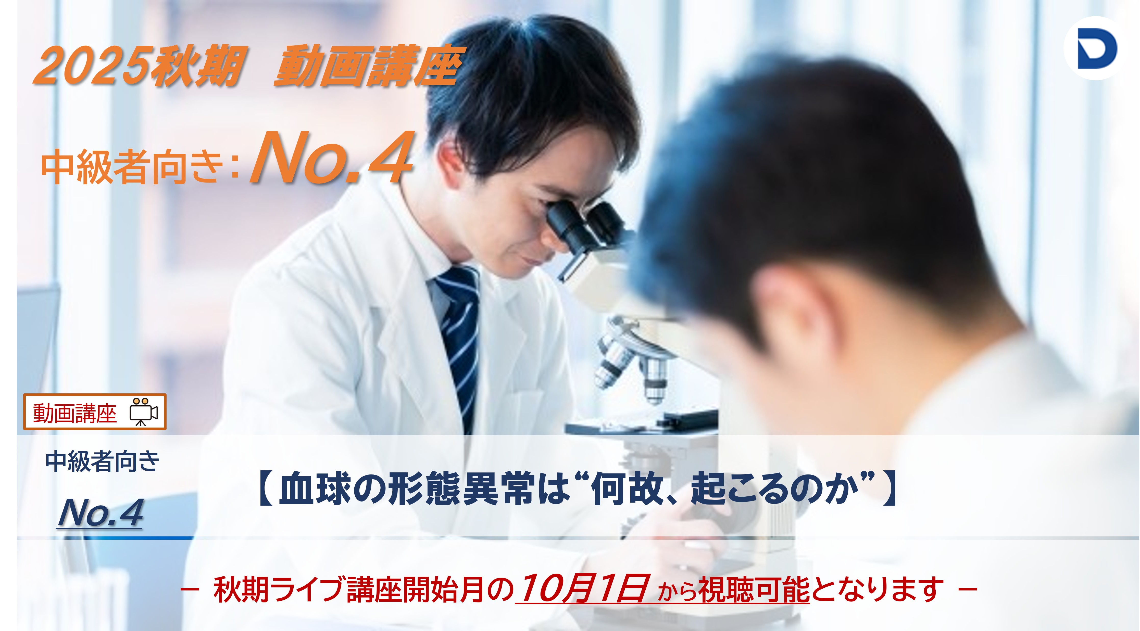 No.4  血球の形態異常は“何故、起こるのか”