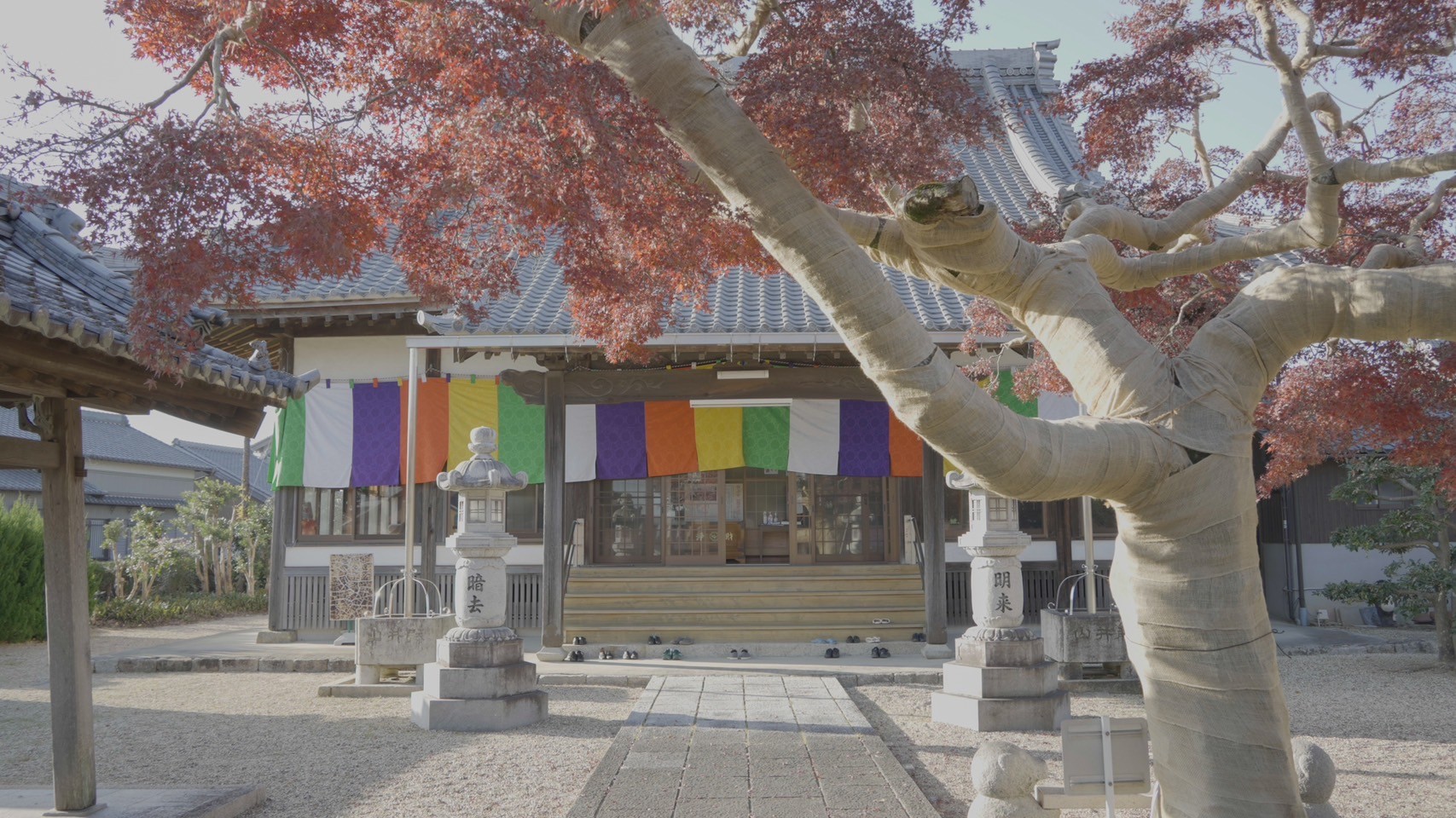 明専寺×ヨガ＝心が整う　火-金曜【対面】深呼吸からはじめるやさしいヨガ　体験クラス