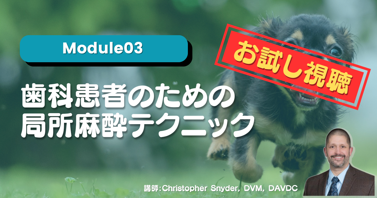 【お試し視聴】Module03 ⻭科患者のための局所麻酔テクニック