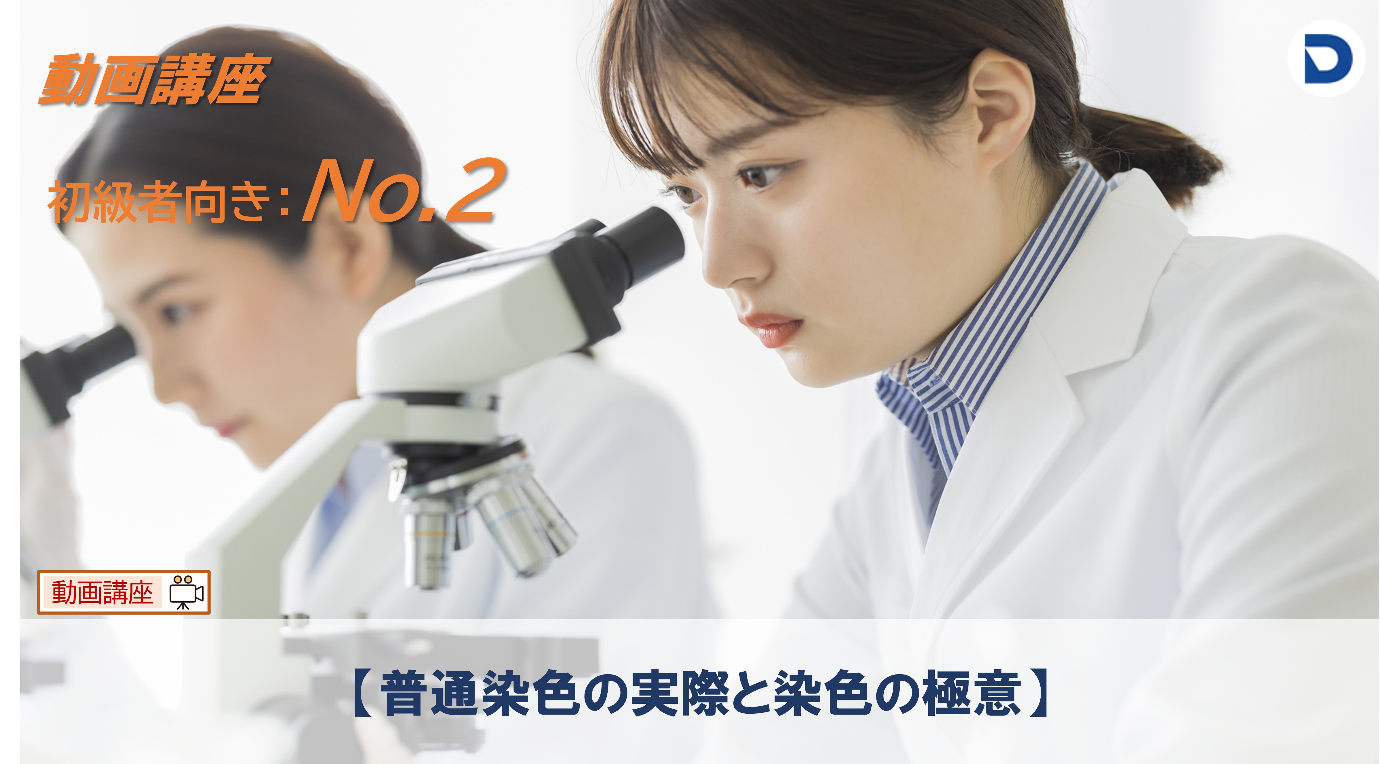 No.2  普通染色の実際と染色の極意