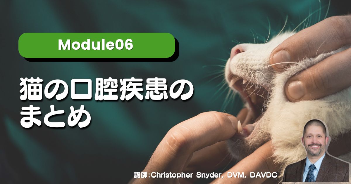 Module06 猫の口腔疾患のまとめ