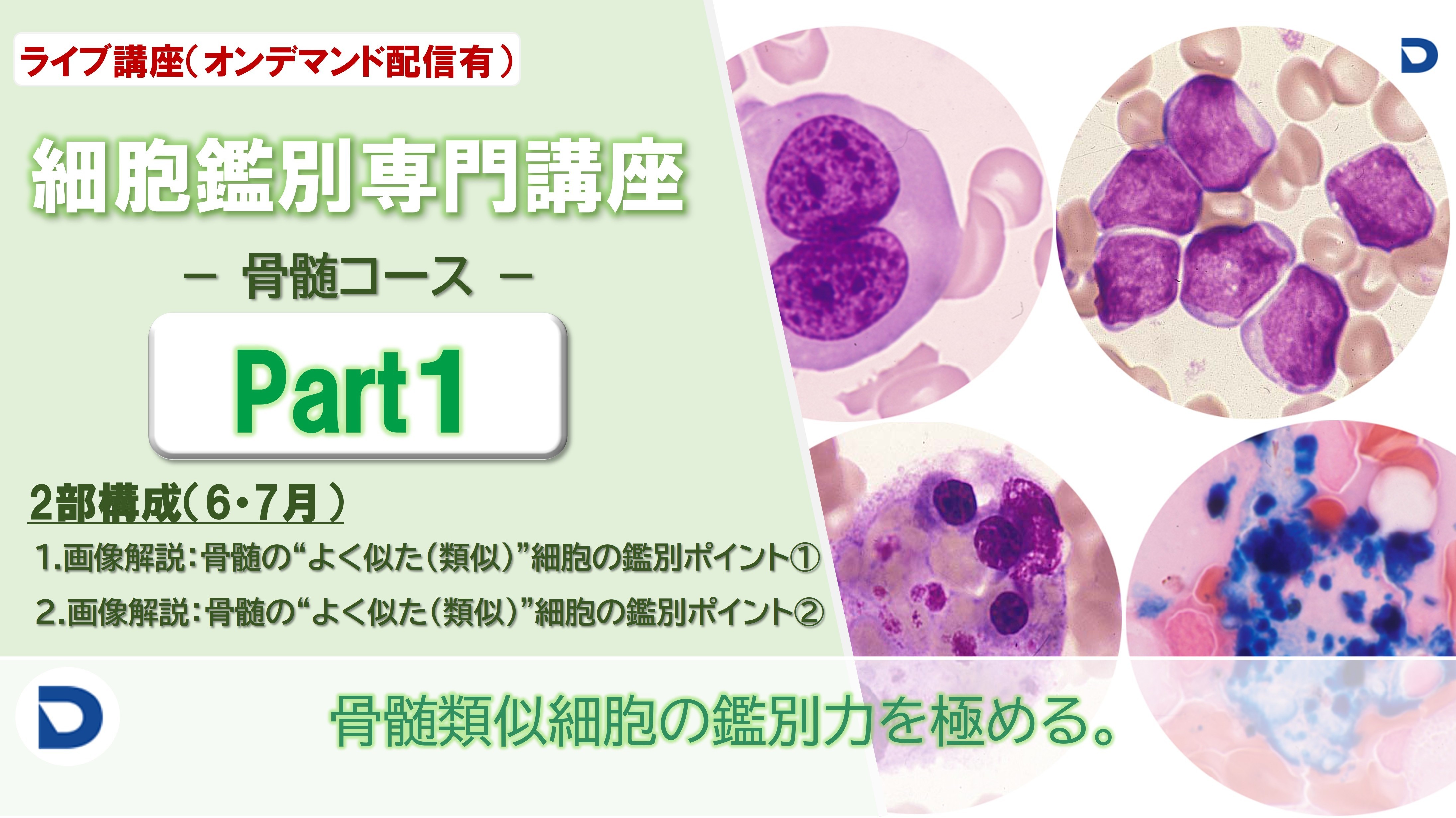 細胞鑑別専門講座：骨髄Part1（全2回）