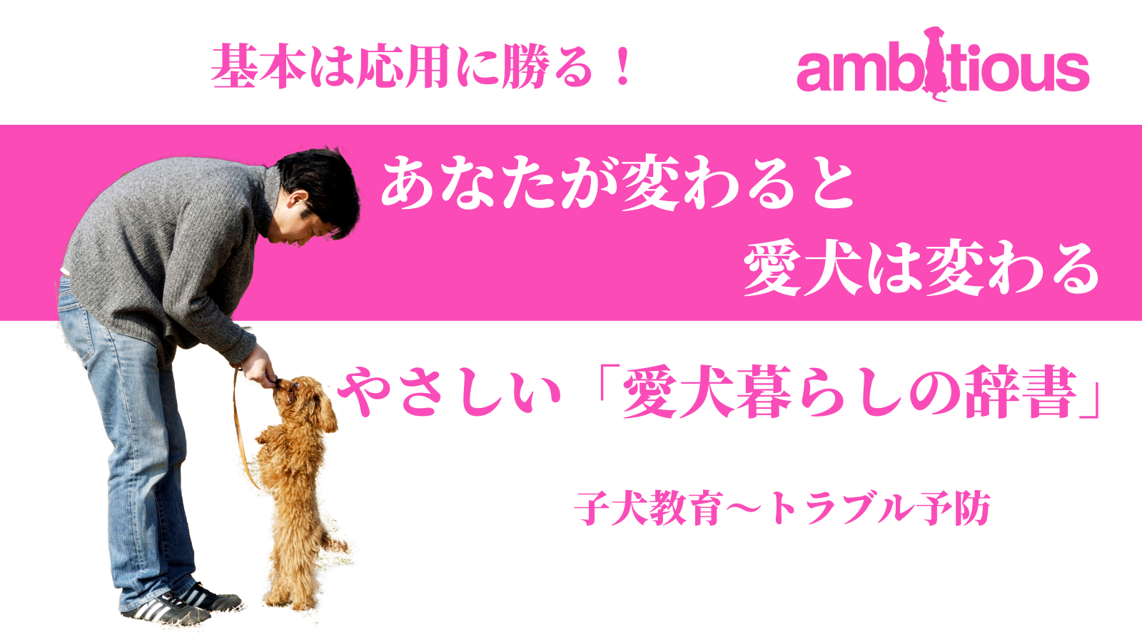 やさしい「愛犬暮らしの辞書」　パピー編