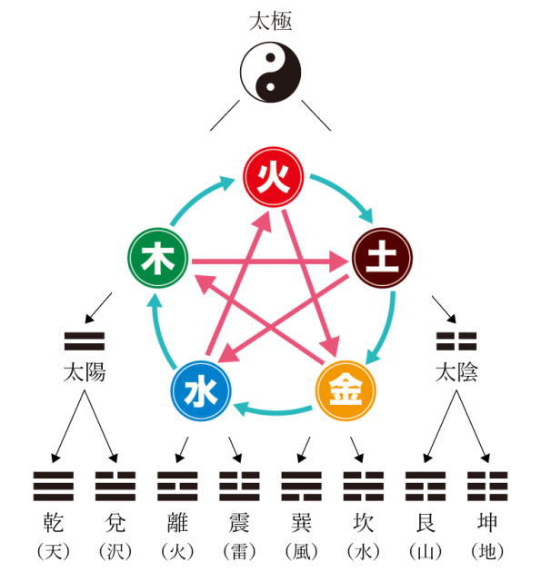 動物鍼灸（基礎編）