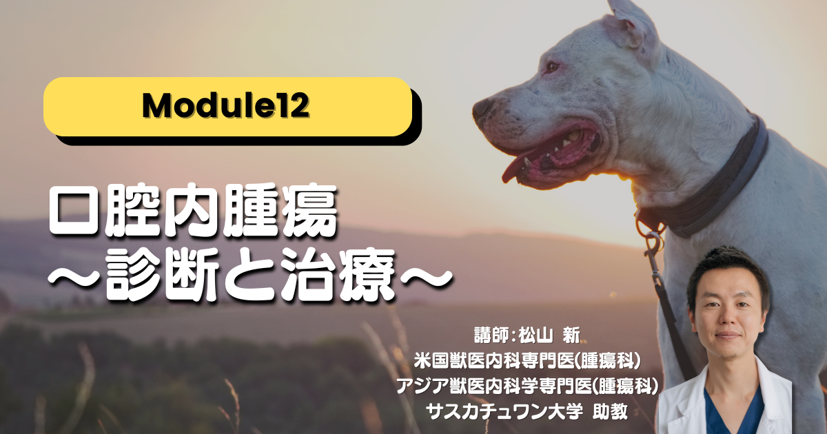 Module12 口腔内腫瘍 ～診断と治療～