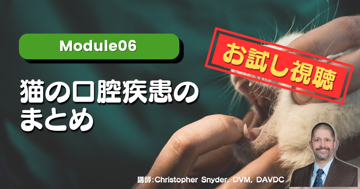 【お試し視聴】Module06 猫の口腔疾患のまとめ