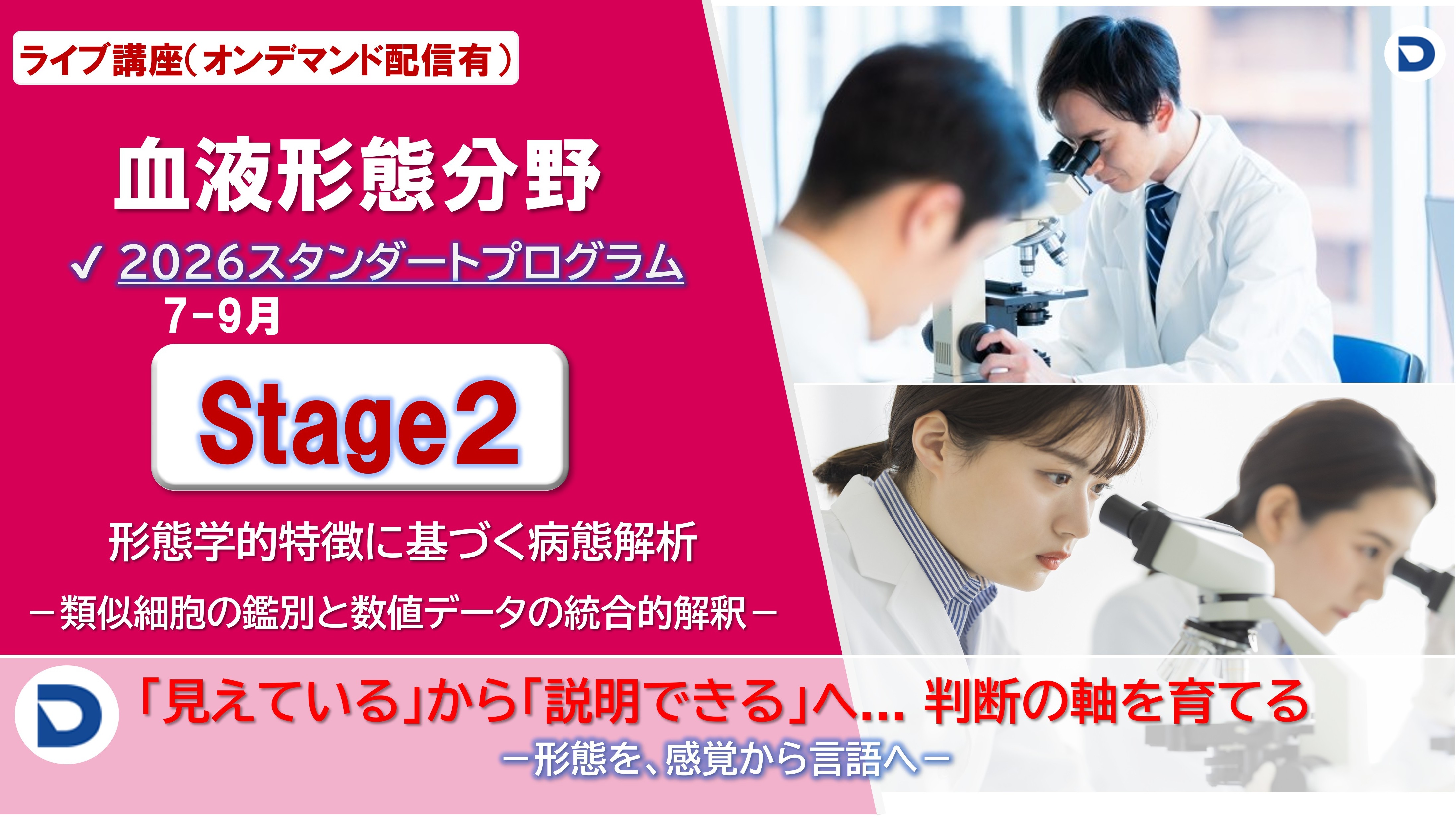 Stage2：形態学的特徴に基づく病態解析
