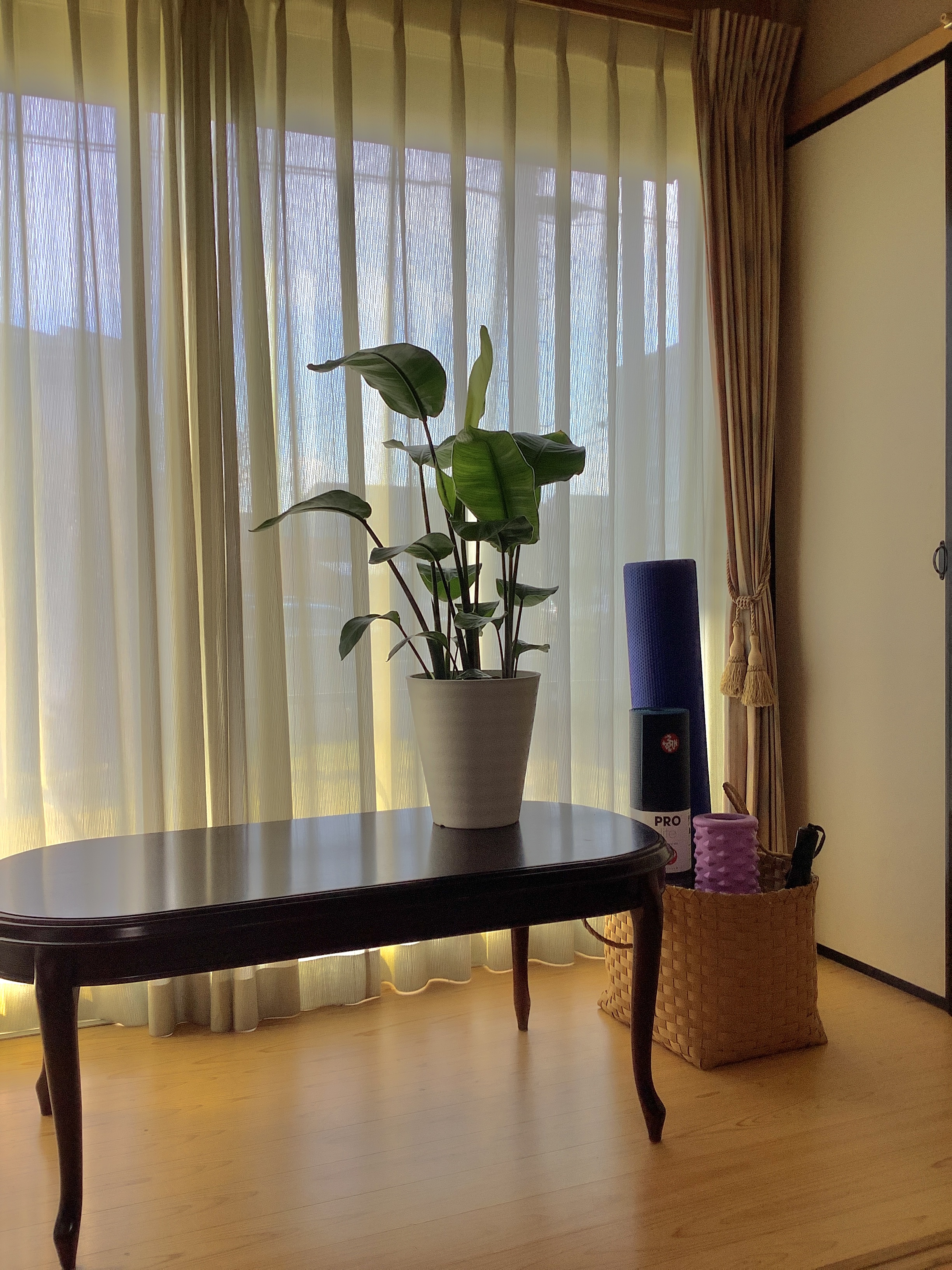 online  yoga salon 