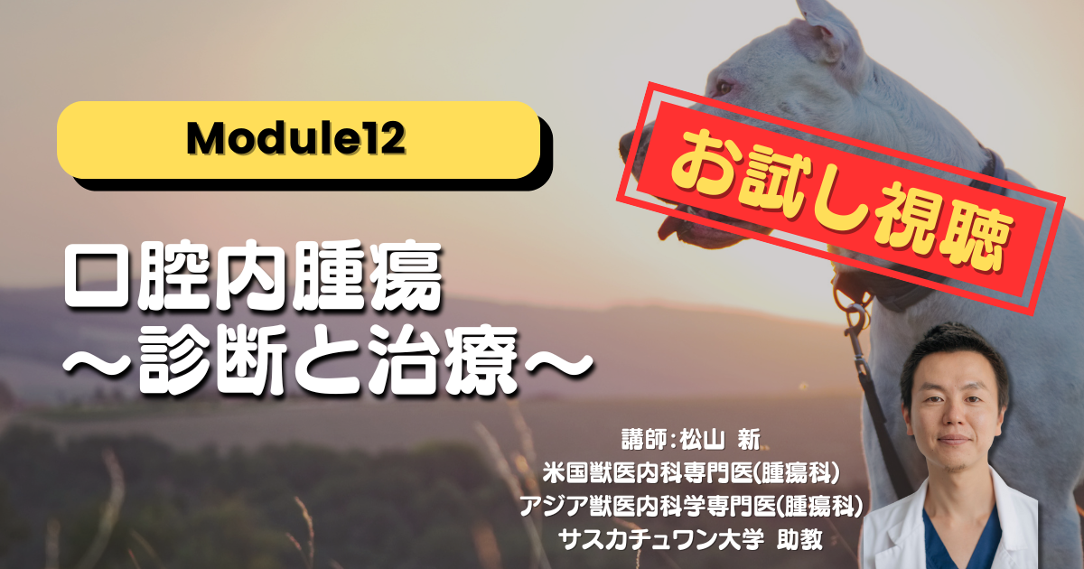 【お試し視聴】Module12 口腔内腫瘍 ～診断と治療～