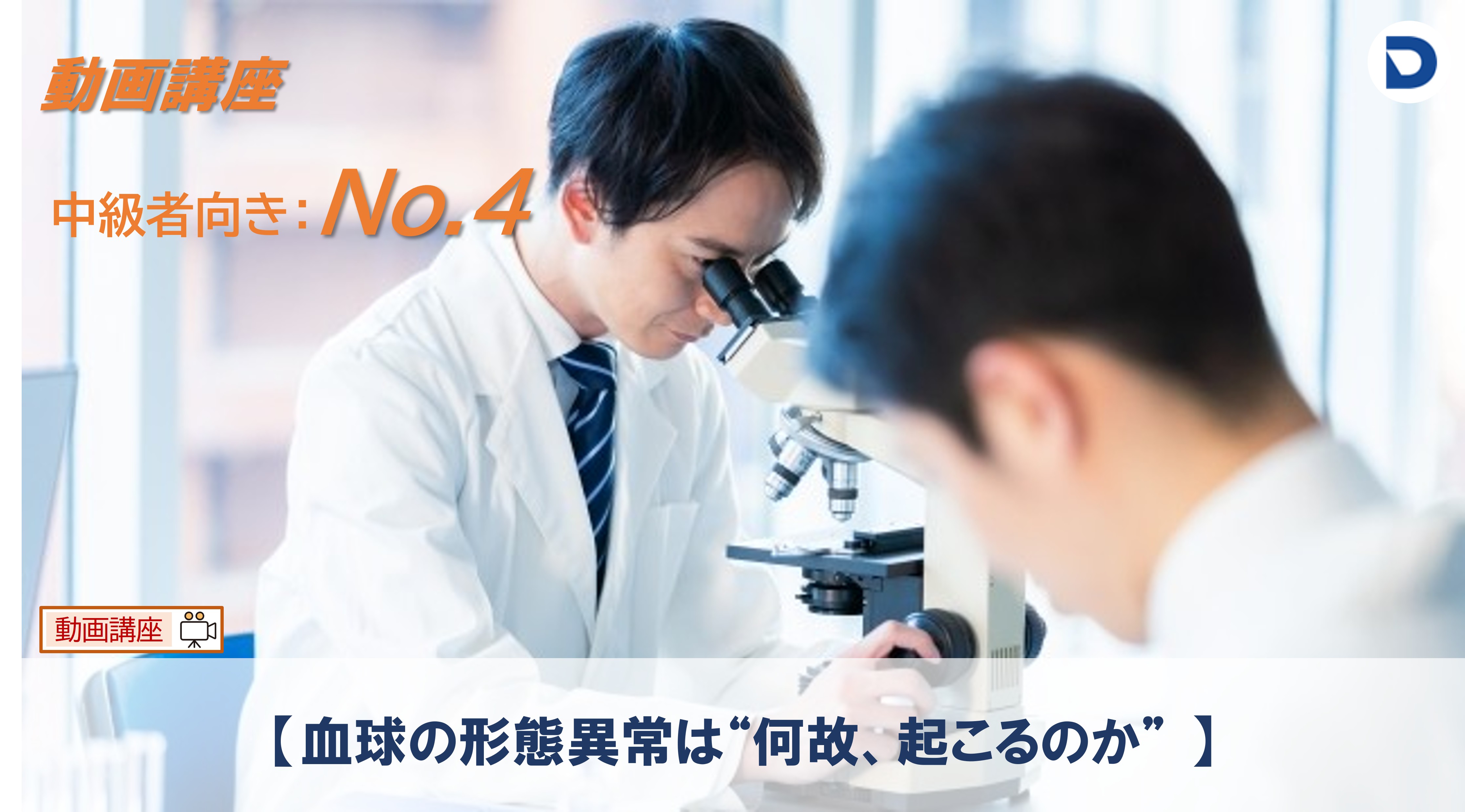 No.4  血球の形態異常は“何故、起こるのか”