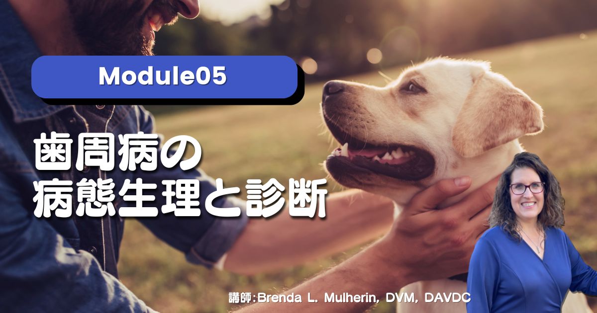 Module05 歯周病の病態生理と診断