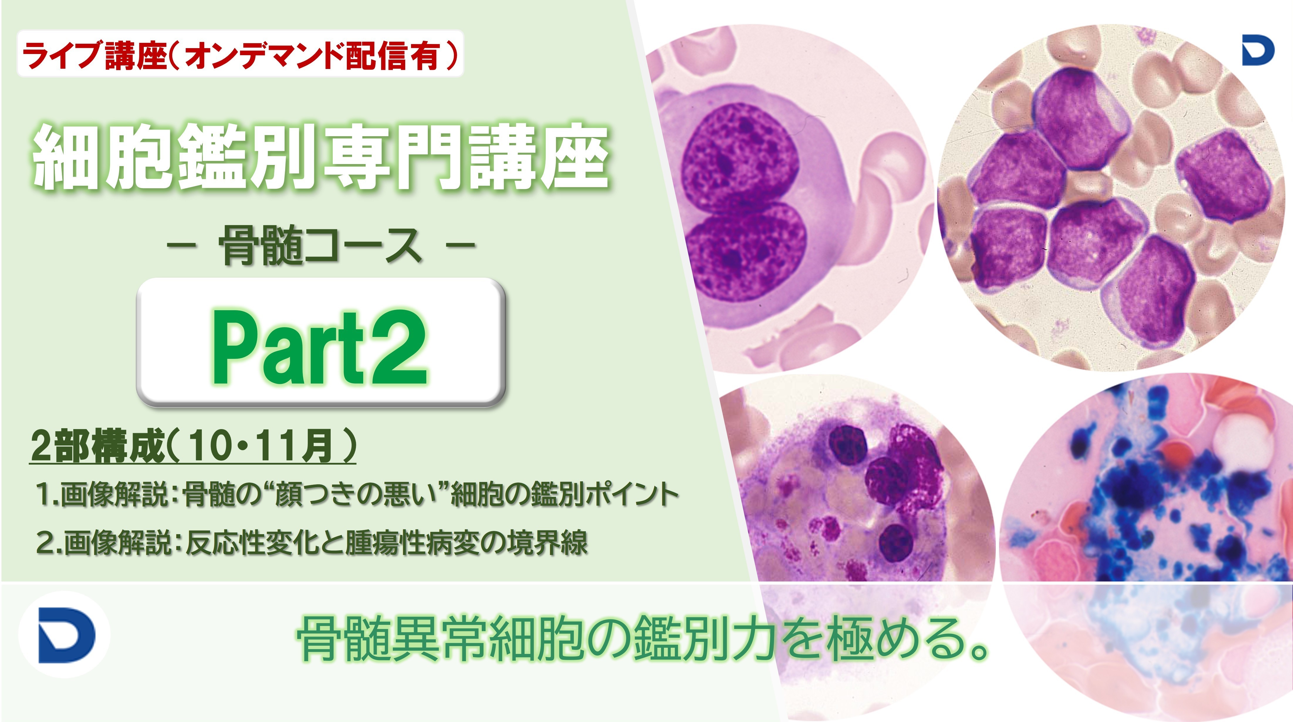 細胞鑑別専門講座：骨髄Part2（全2回）