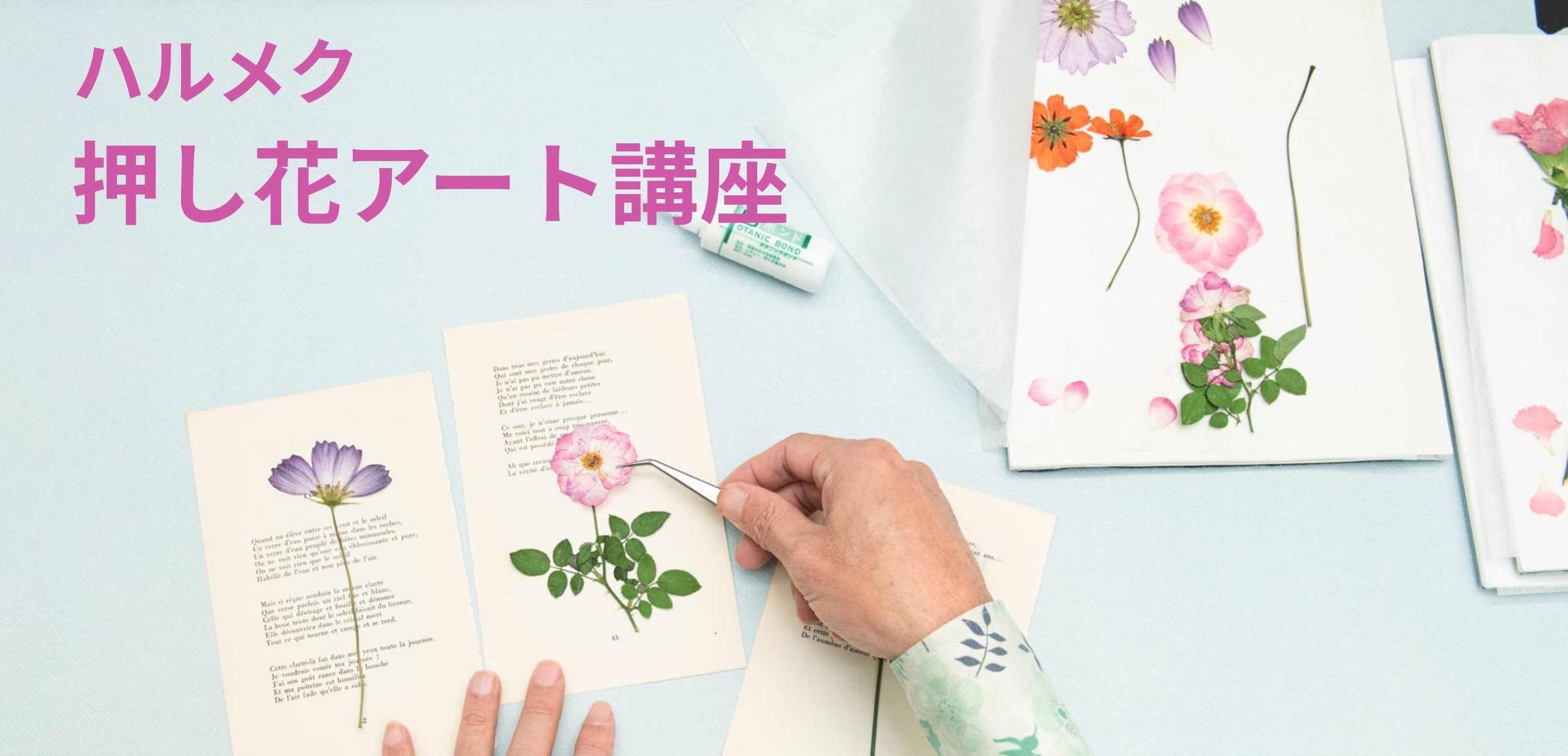 ハルメク押し花アート講座