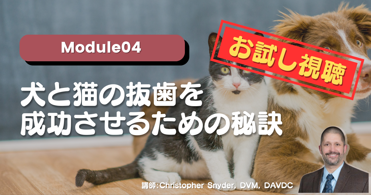 【お試し視聴】Module04 犬と猫の抜⻭を成功させるための秘訣