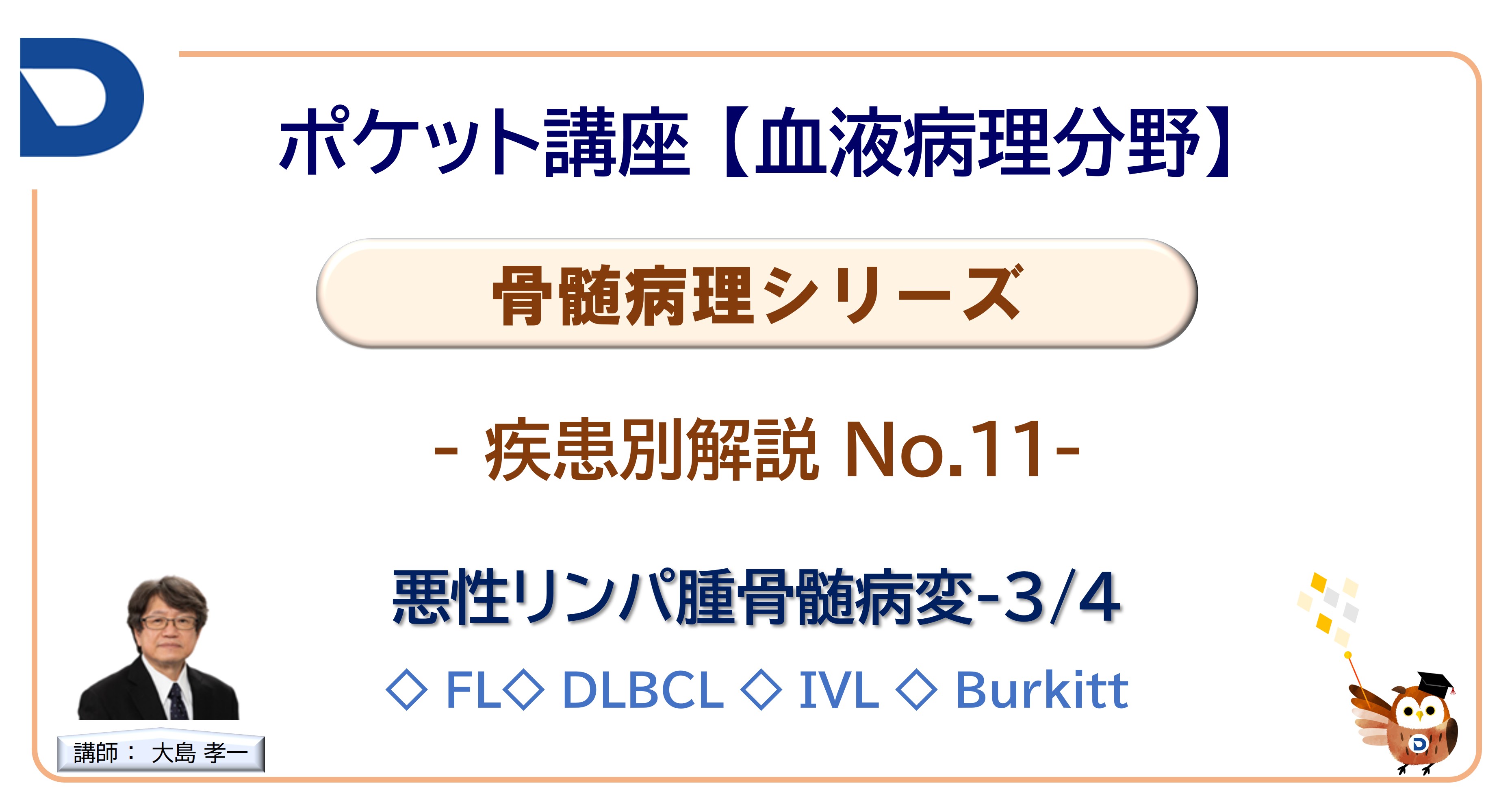 骨髄病理シリーズ：疾患別解説No.11「悪性リンパ腫骨髄病変3/4」