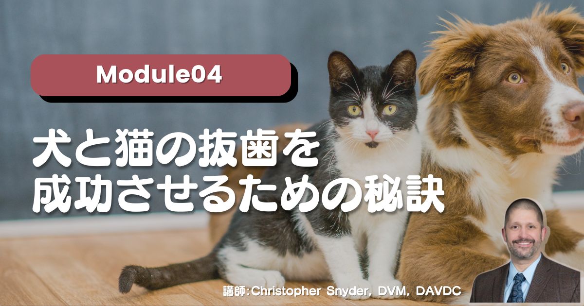 Module04 犬と猫の抜⻭を成功させるための秘訣