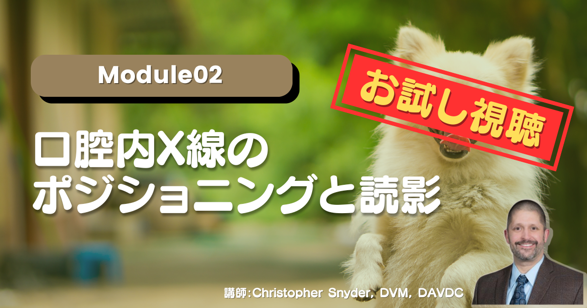 【お試し視聴】Module02 口腔内X線のポジショニングと読影